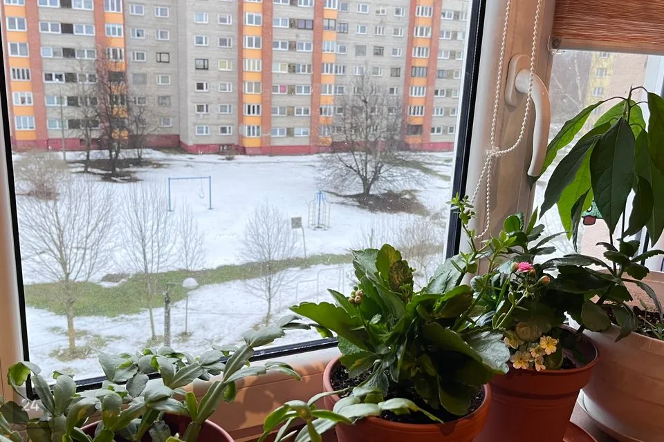 1-toaline Korter  -  Narva linn - foto 5