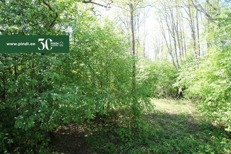 Maatulundusmaa, 50953 m² участок в Vormsi vald, Suuremõisa küla - фото 2