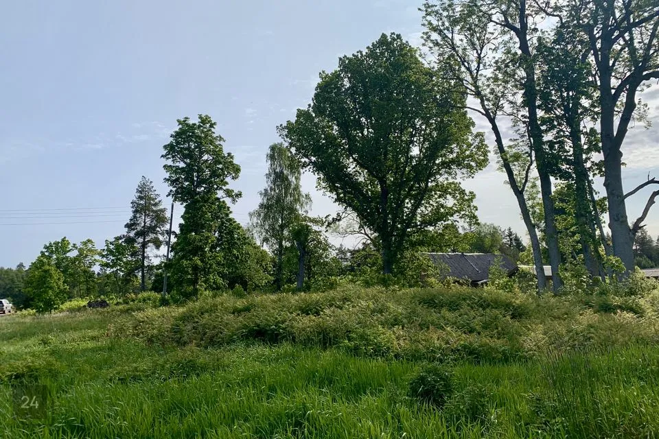 Elamumaa, 6626 m² Maa - Lääne-Nigula vald, Nõmmemaa küla - foto 3