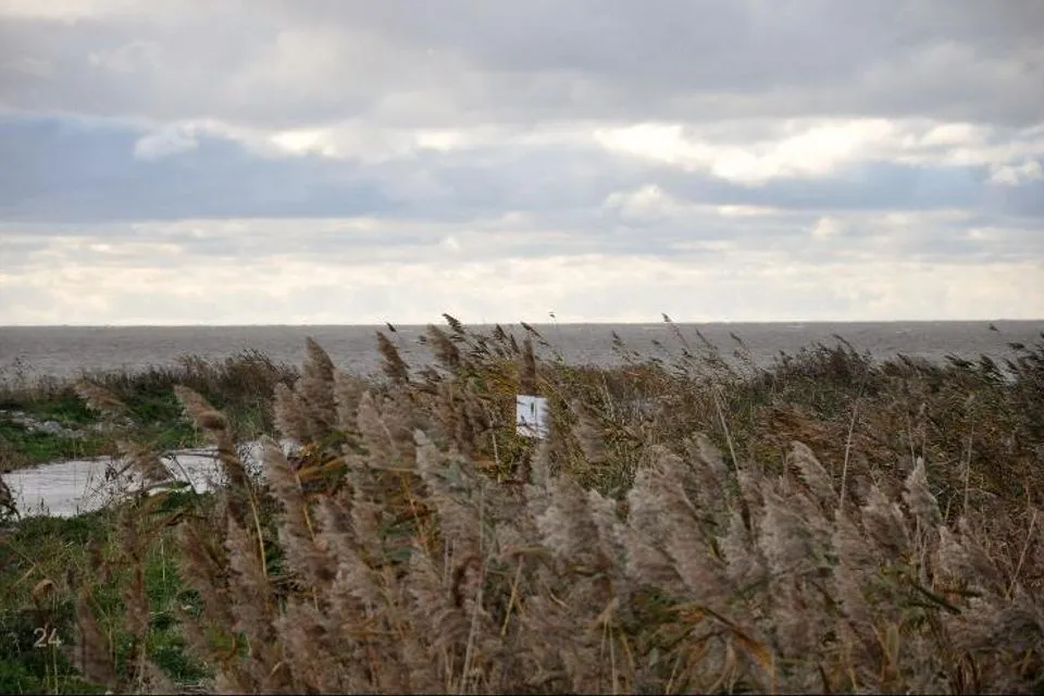 6053 m² Maa - Lääne-Nigula vald, Hara küla / Harga - foto 2