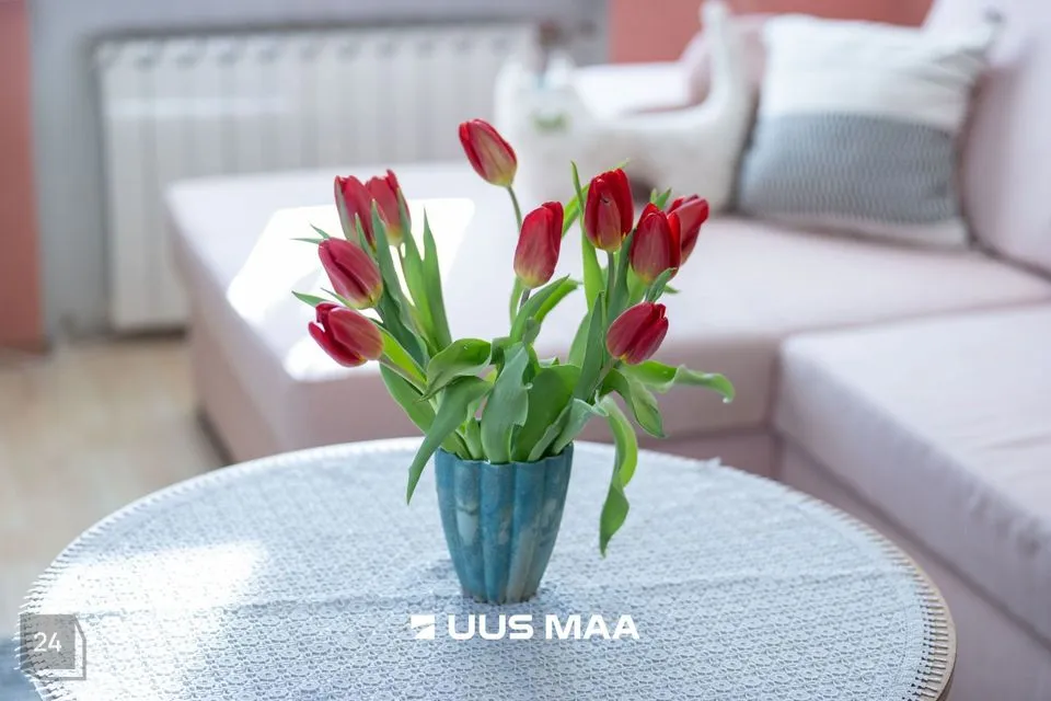 3-toaline Korter  -  Anija vald, Kehra linn - foto 2