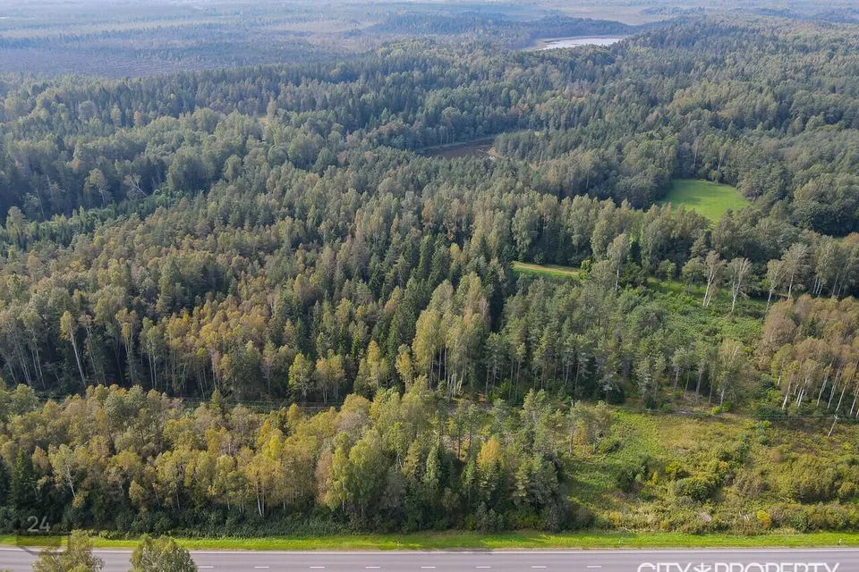 Maatulundusmaa, 29756 m² участок в Kose vald, Rõõsa küla - фото 3
