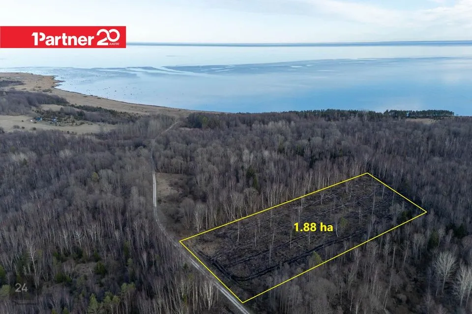 Maatulundusmaa, 18864 m² участок в Saaremaa vald, Mäebe küla - фото 2