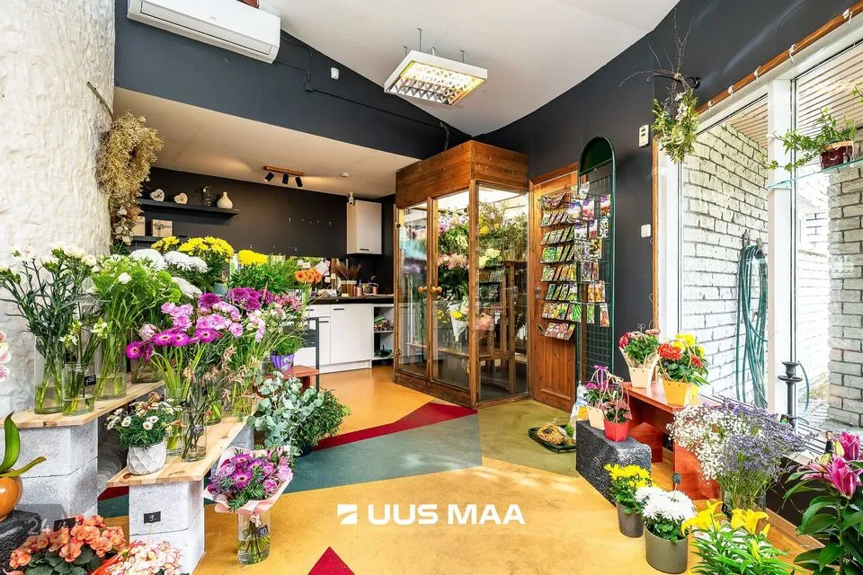 Mitme sihtotstarbega, 60 m² Äripind - Kuusalu vald, Kuusalu alevik - foto 3