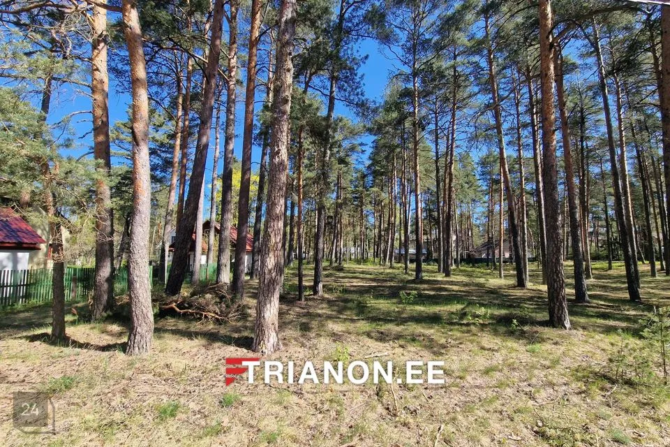 Elamumaa, 1463 m² Maa - Narva-Jõesuu linn, Narva-Jõesuu linn - foto 3