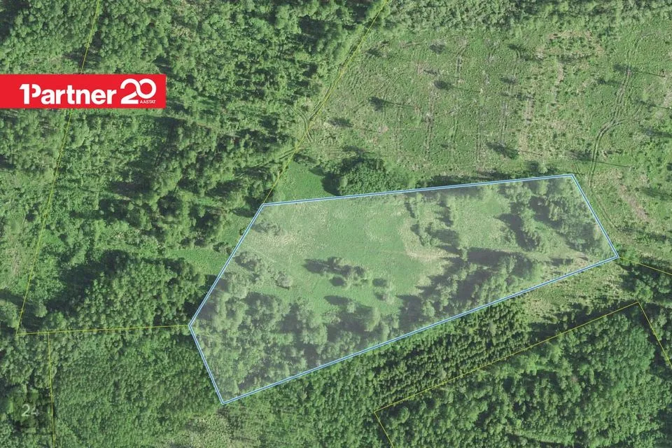 Maatulundusmaa, 29482 m² Maa - Antsla vald, Toku küla - foto 2