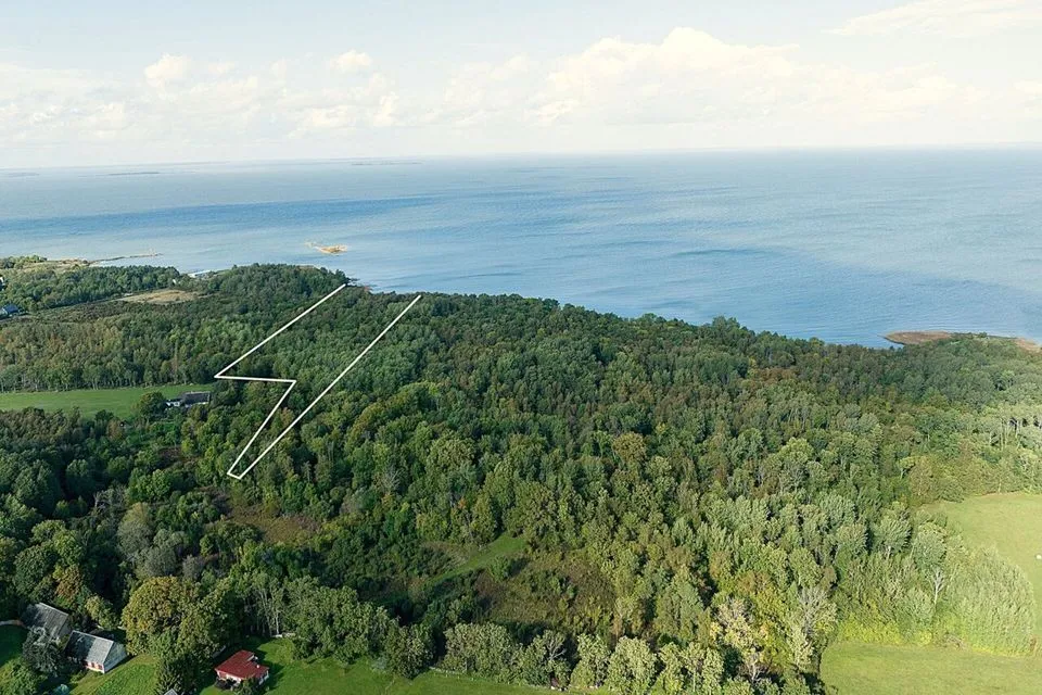 Maatulundusmaa, 23920 m² Maa - Muhu vald, Nõmmküla - foto 2