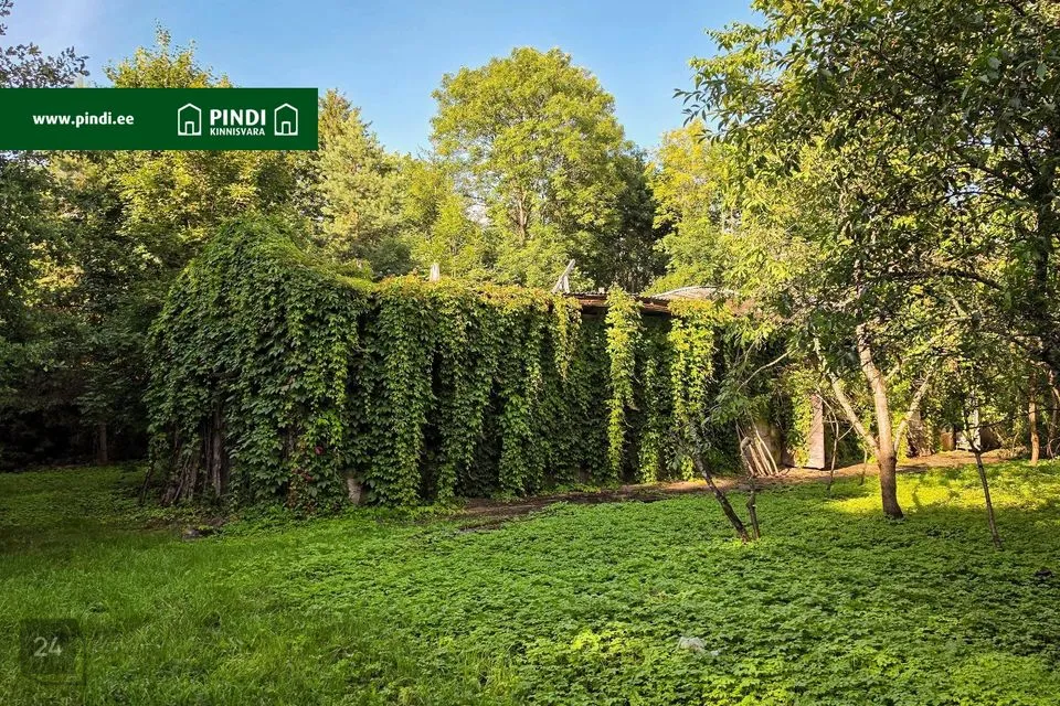 Maatulundusmaa, 21816 m² участок в Jõhvi vald, Servaääre küla - фото 3
