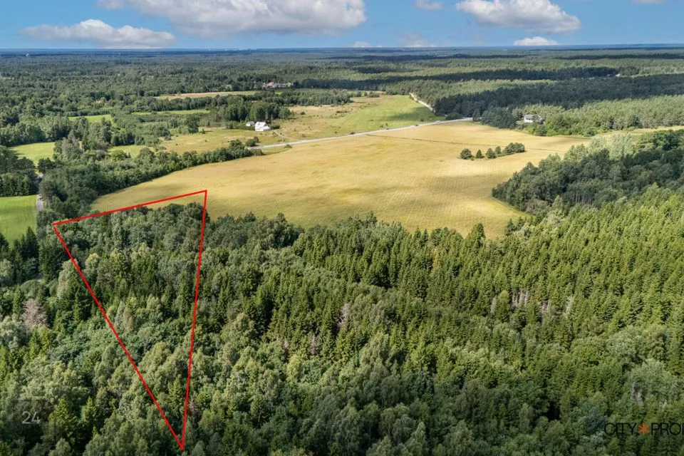 Maatulundusmaa, 16735 m² Maa - Lääne-Harju vald, Nahkjala küla - foto 4