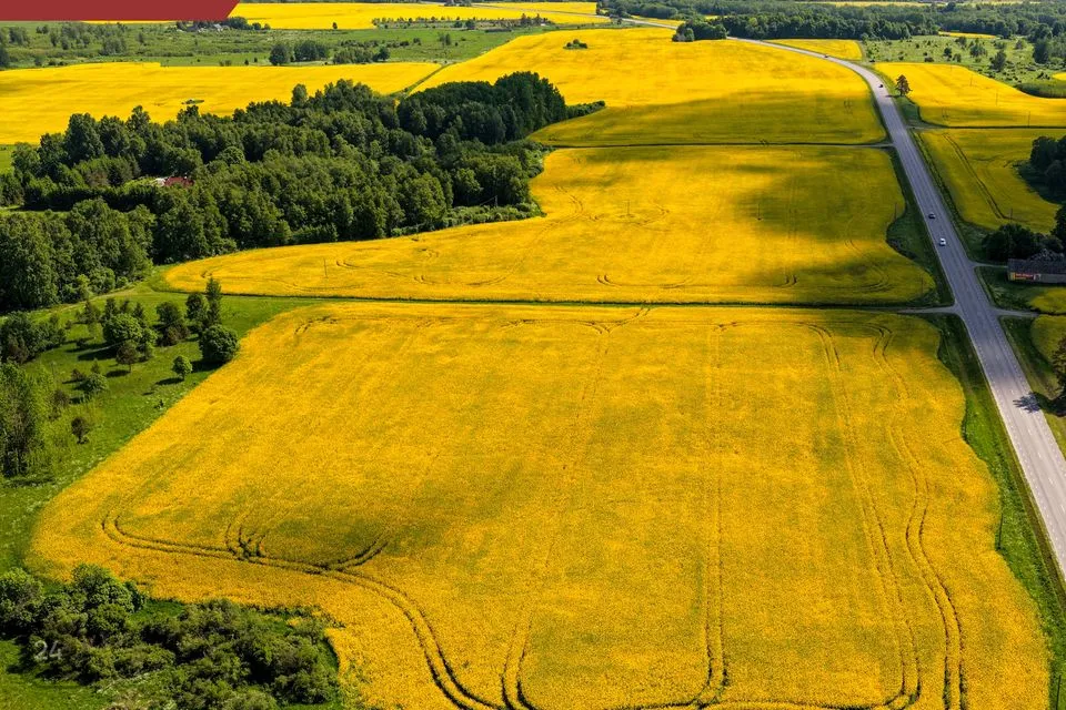 Maatulundusmaa, 1005100 m² Maa  -  Rakvere vald, Andja küla - foto 3