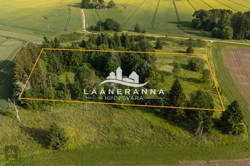 Земля жилой застройки, 7708 m² участок в Türi vald, Ollepa küla