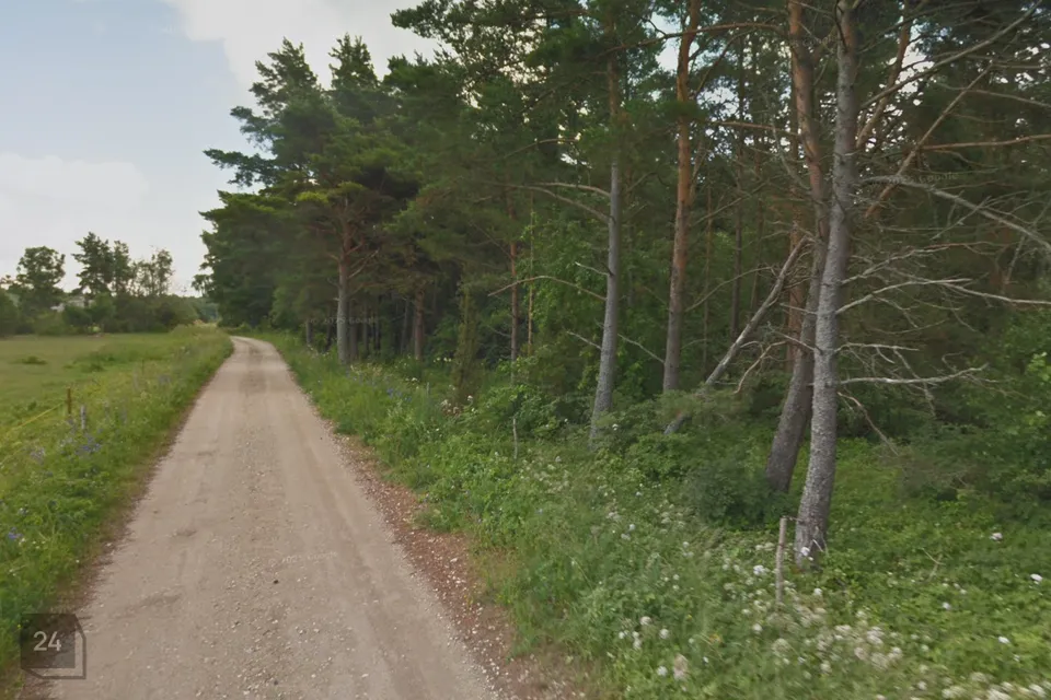 Elamumaa, 15636 m² Maa  -  Lääne-Nigula vald, Einbi küla / Enby - foto 4