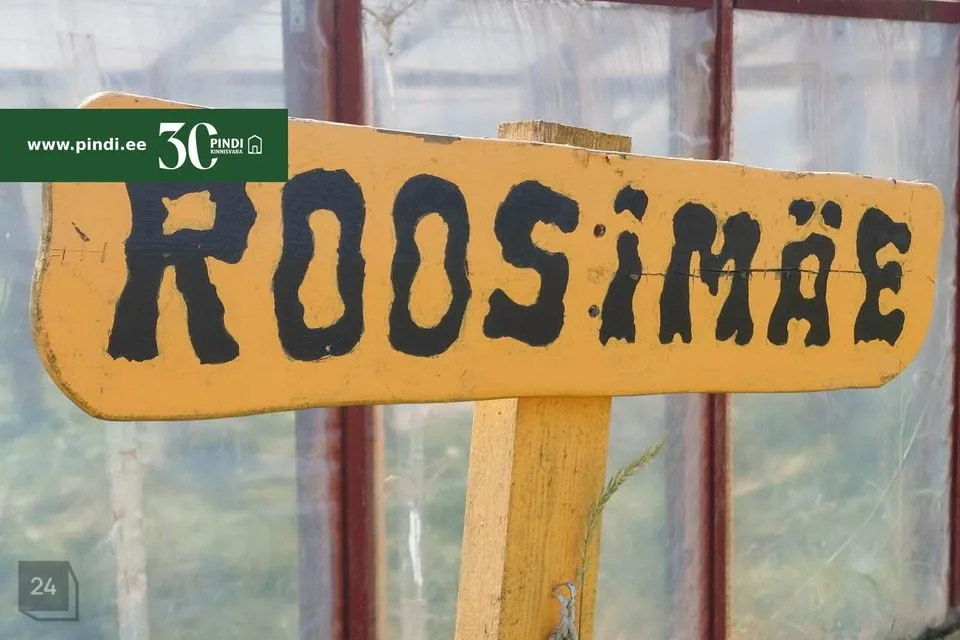 3-toaline Maja - Alutaguse vald, Kalina küla - foto 2