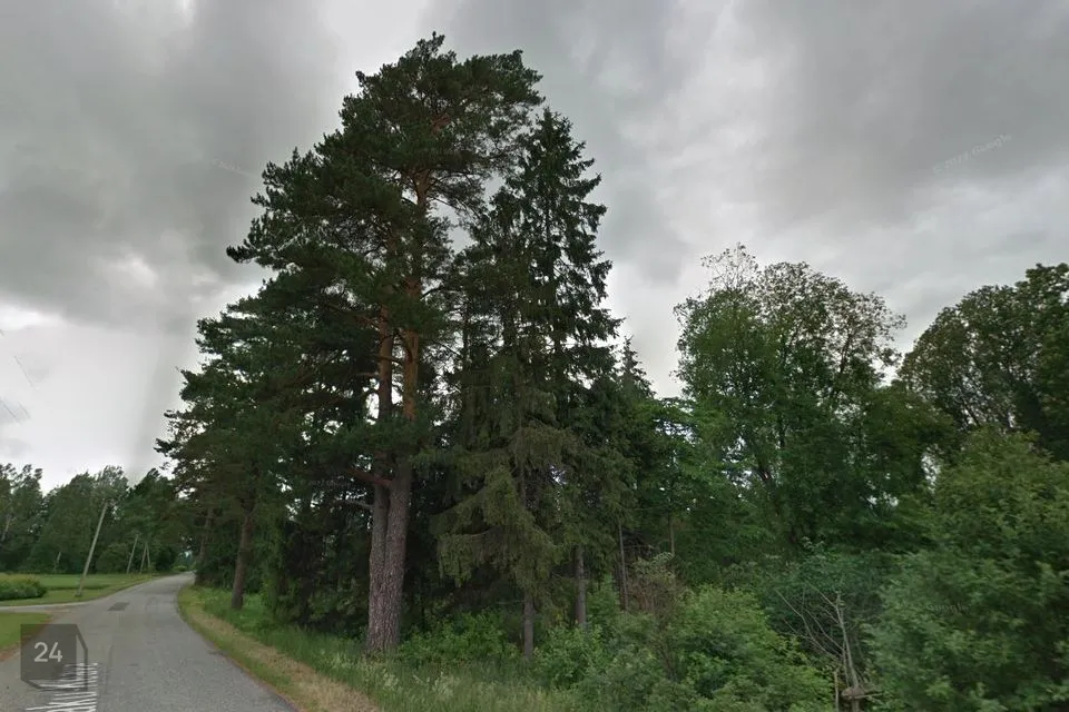 Elamumaa, 30283 m² Maa  -  Kehtna vald, Hertu küla - foto 4