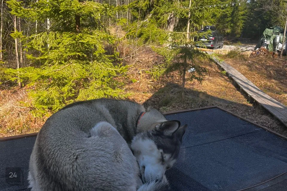 Elamumaa, 5000 m² Maa  -  Hiiumaa vald, Värssu küla - foto 5