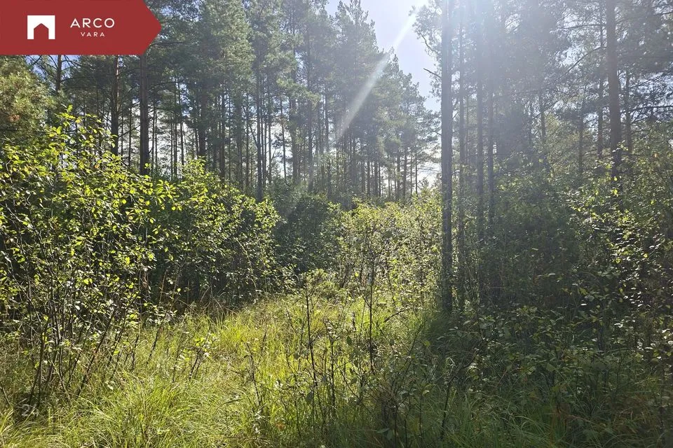 Maatulundusmaa, 136296 m² участок в Saaremaa vald, Ööriku küla - фото 4
