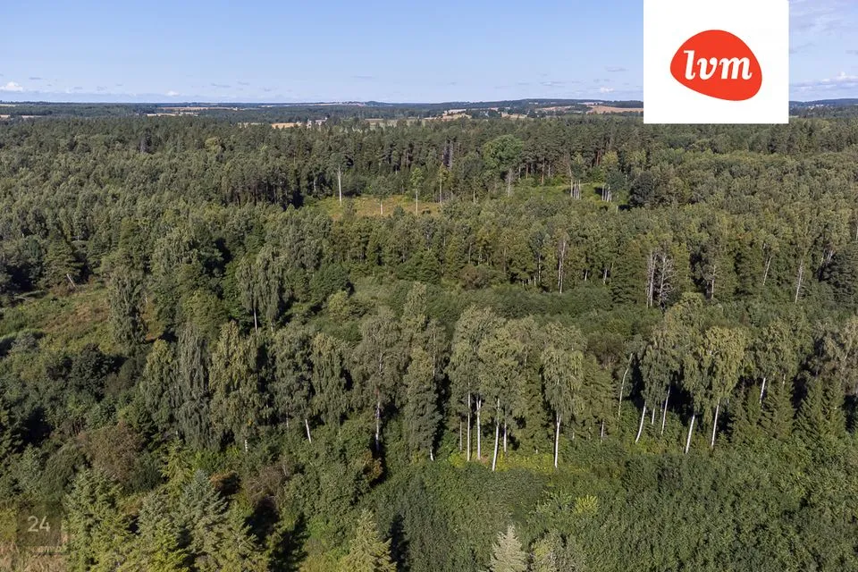 Maatulundusmaa, 79700 m² Maa  -  Tartu vald, Väägvere küla - foto 3