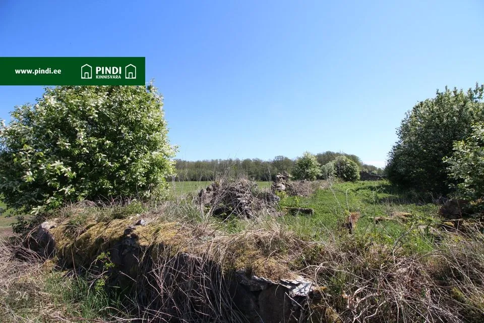 Maatulundusmaa, 29471 m² участок в Vormsi vald, Suuremõisa küla - фото 5