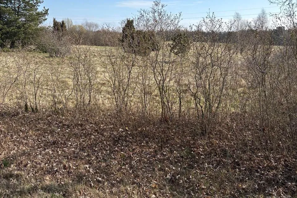 Elamumaa, 10000 m² Maa - Hiiumaa vald, Harju küla - foto 3