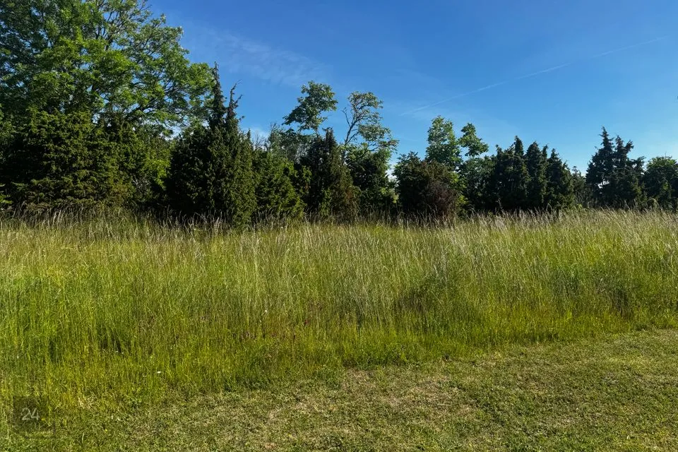 Elamumaa, 10522 m² Maa - Saaremaa vald, Suure-Rootsi küla - foto 5