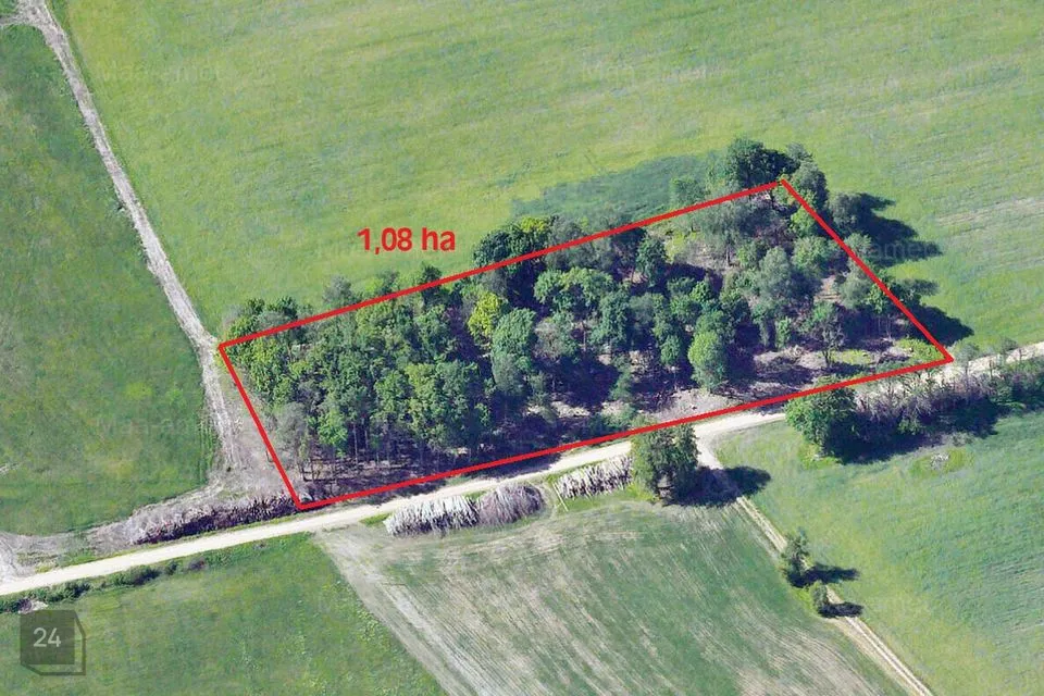 Земля жилой застройки, 10876 m² участок в Mulgi vald, Veelikse küla
