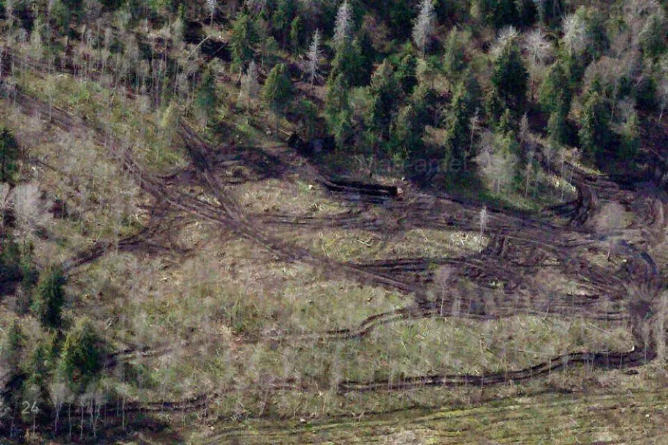 Elamumaa, 20000 m² Maa  -  Kiili vald, Paekna küla - foto 4