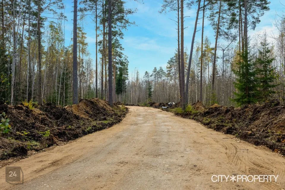 Elamumaa, 9269 m² Maa  -  Kose vald, Tuhala küla - foto 3