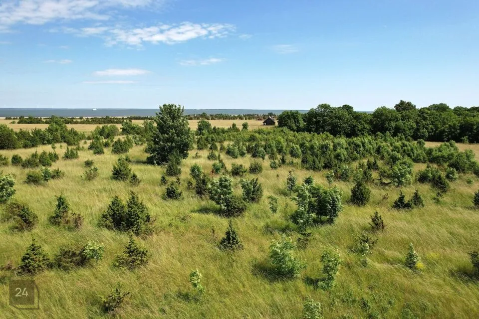 Elamumaa, 11775 m² Maa - Muhu vald, Võiküla - foto 3