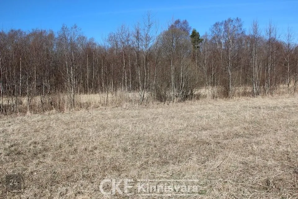 Elamumaa, 6624 m² Maa  -  Lääne-Saare vald, Nasva küla - foto 2