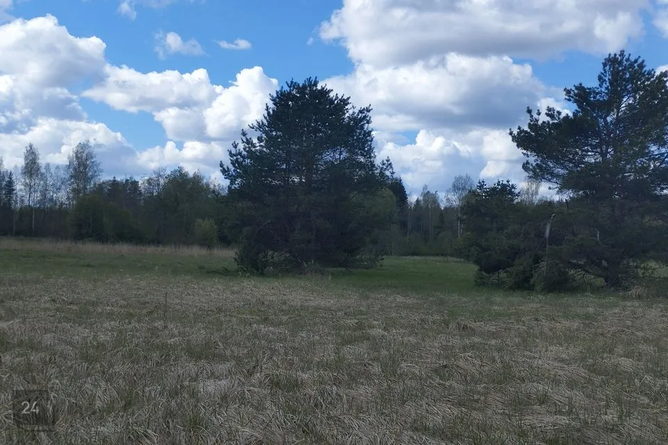 Maatulundusmaa, 6951 m² Maa - Türi vald, Kolu küla - foto 3