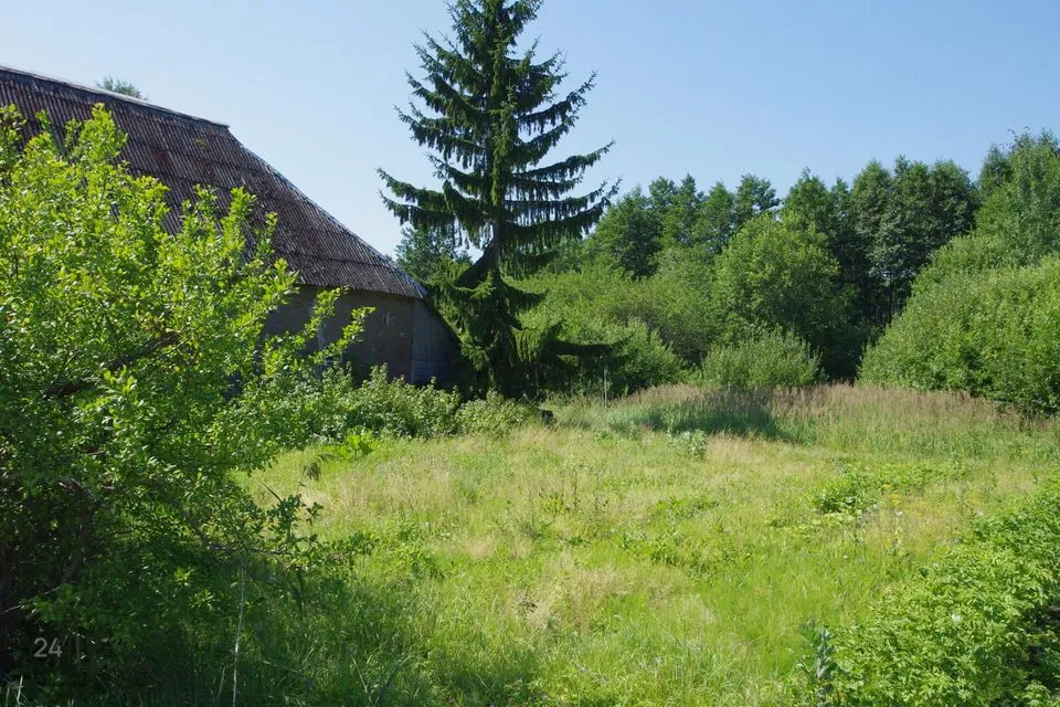 3-комнатная дом в Peipsiääre vald, Kasepää alevik - фото 4