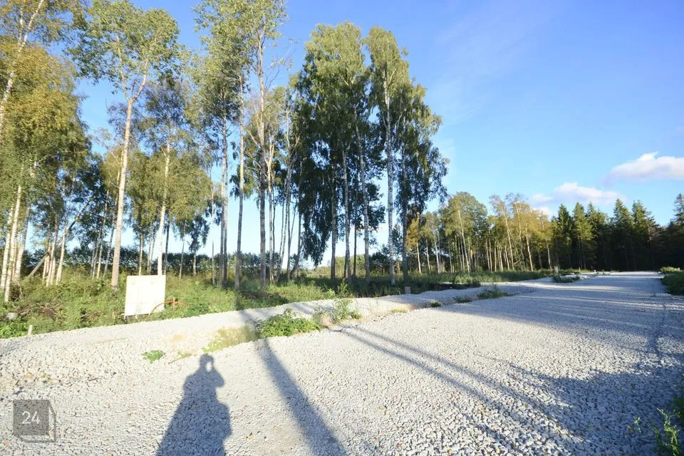 Elamumaa, 2946 m² Maa  -  Raasiku vald, Kurgla küla - foto 5