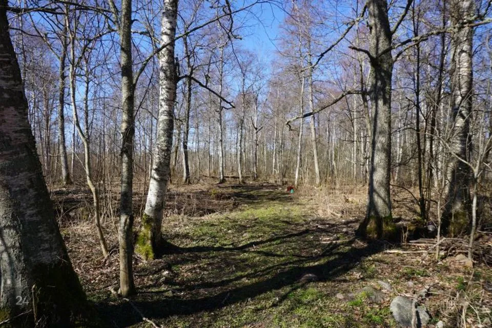 Elamumaa, 26395 m² Maa - Hiiumaa vald, Haldreka küla - foto 4