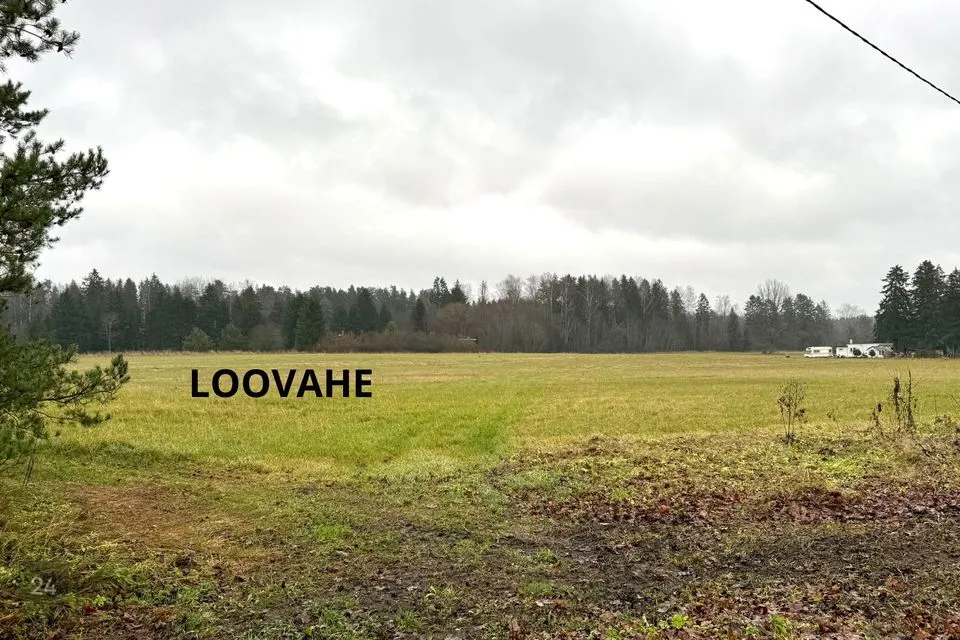 Maatulundusmaa, 27219 m² Maa  -  Anija vald, Looküla - foto 5