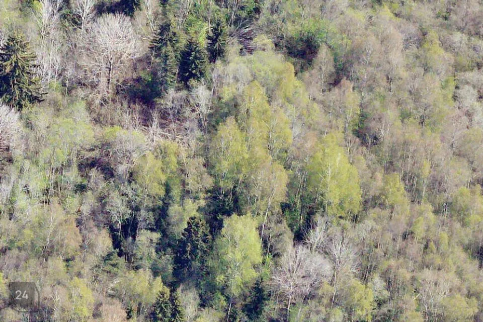Maatulundusmaa, 40300 m² Maa  -  Lääne-Harju vald, Ohtu küla - foto 3