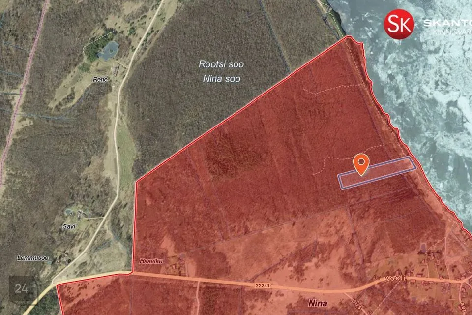 Maatulundusmaa, 25780 m² Maa  -  Peipsiääre vald, Nina küla - foto 3
