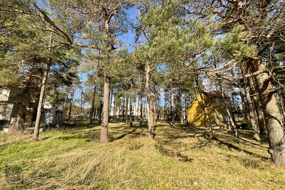Земля жилой застройки, 1154 m² участок в Tallinn, Nõmme linnaosa - фото 5
