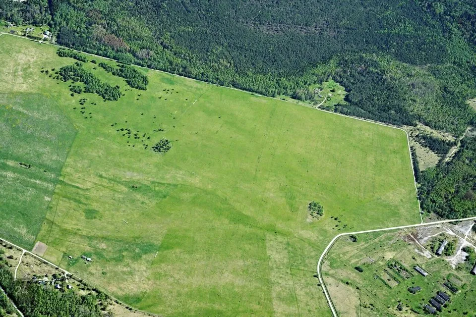 Maatulundusmaa, 99988 m² Maa  -  Lääne-Harju vald, Niitvälja küla - foto 2