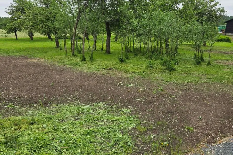 Maatulundusmaa, 3587 m² Maa  -  Kehtna vald, Lelle alevik - foto 2