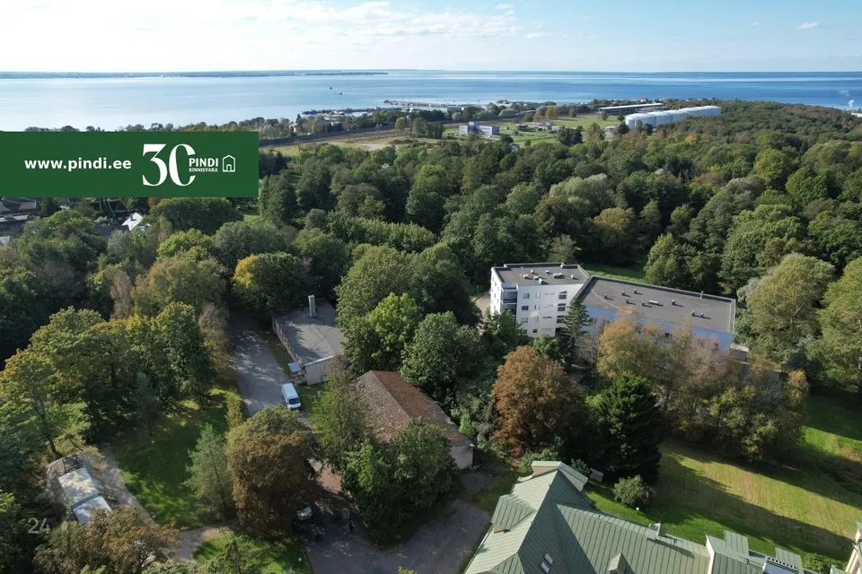 Multi-purpose, 382 m² business in Viimsi vald, Viimsi alevik - photo 5