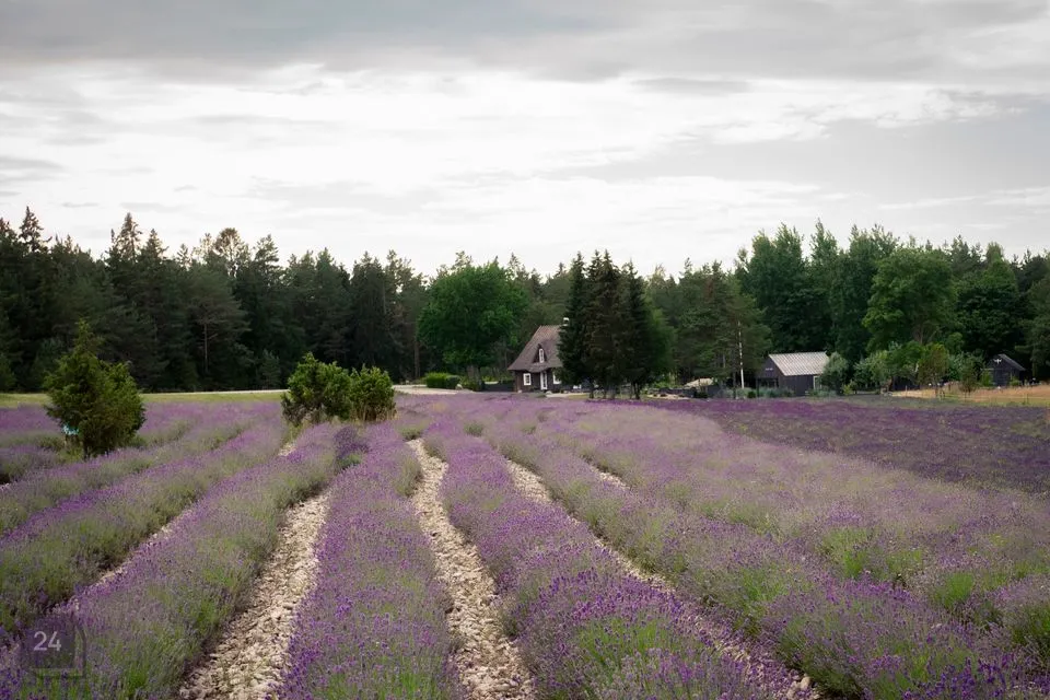 4-toaline Maja  -  Hiiumaa vald, Tubala küla - foto 5