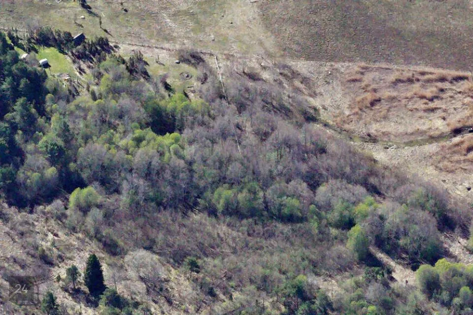 Maatulundusmaa, 7228 m² участок в Lääne-Nigula vald, Riguldi küla / Rickul - фото 5