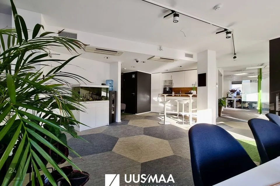 Büroo, 230 m² Äripind - Tallinn, Põhja-Tallinna linnaosa - foto 4