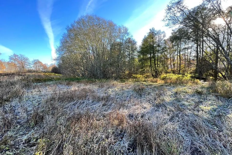 Elamumaa või Ärimaa, 10183 m² Maa - Kuusalu vald, Valkla küla - foto 5