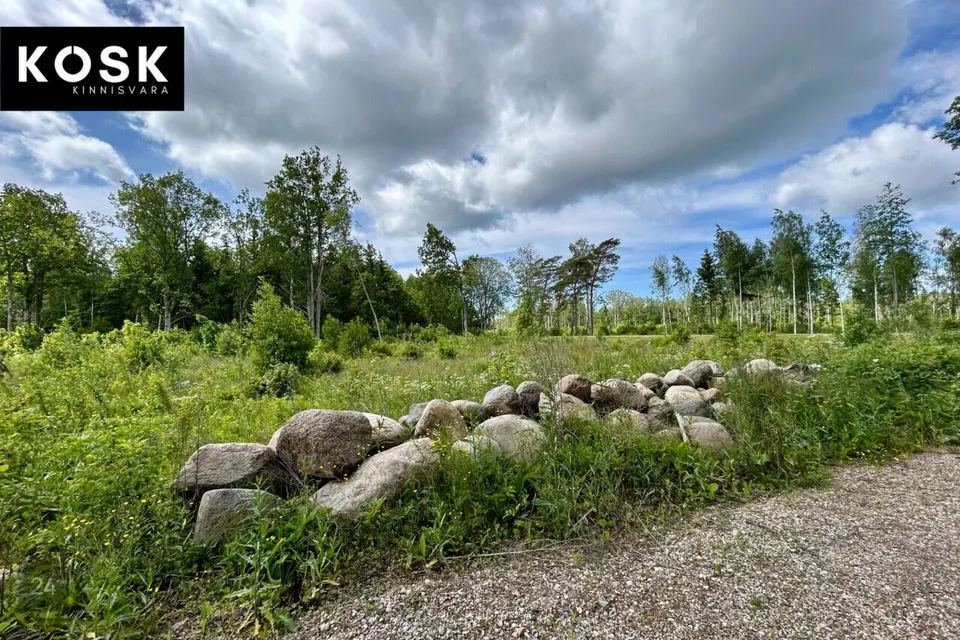 Maatulundusmaa, 20458 m² Maa - Lääneranna vald, Rädi küla - foto 3