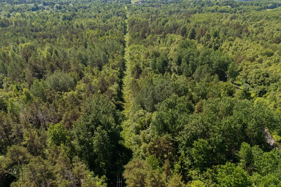 Elamumaa, 7415 m² Maa - Jõelähtme vald, Kallavere küla - foto 4