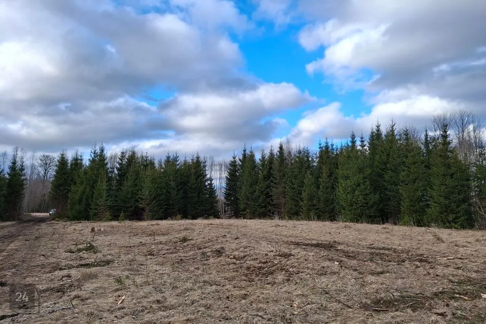Maatulundusmaa, 25051 m² Maa - Kose vald, Lutsu küla