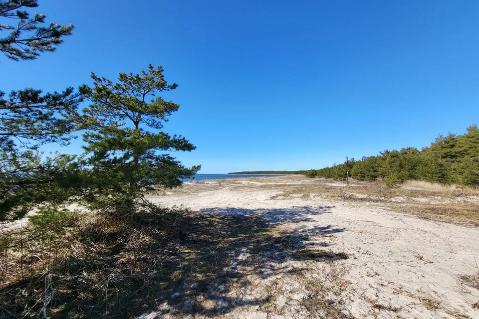 Maatulundusmaa, 33534 m² Maa - Lääne-Nigula vald, Elbiku küla / Ölbäck - foto 5