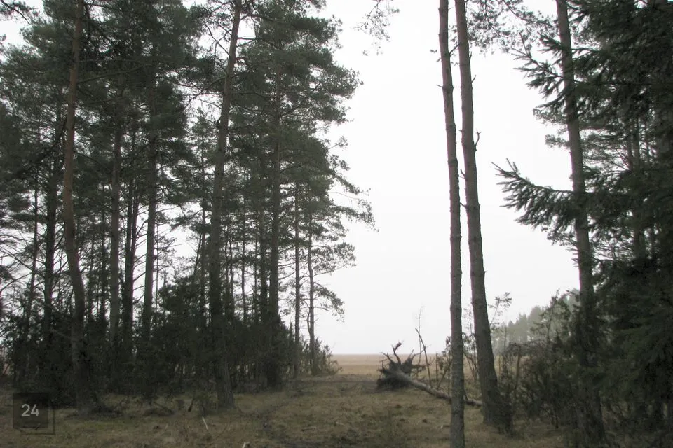 Land under protection or Residential land, 75360 m² land in Hiiumaa vald, Esiküla - photo 4