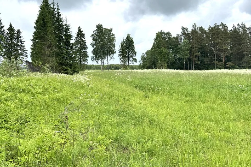 Maatulundusmaa, 25469 m² Maa  -  Rapla vald, Seli-Nurme küla - foto 3